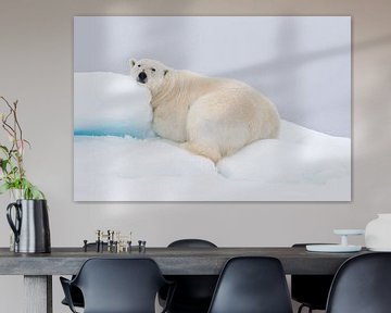 Resting polar bear on snowy hill by Caroline Piek