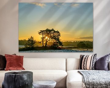 Sonnenaufgang im Treibsand-Naturschutzgebiet Hulshorsterzand von Sjoerd van der Wal Fotografie