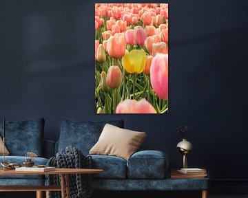 Tulipes - une tulipe jaune parmi des tulipes roses sur Marjan Schmit Visser