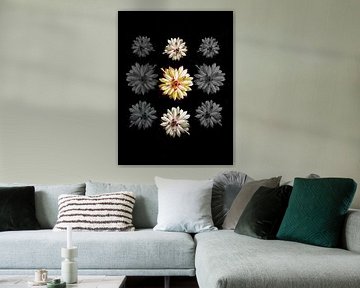 Huislook uit de serie Vliegzalf