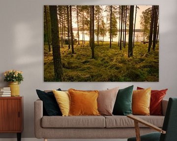 Sunlight floods the forest by the lake with huts, peaceful natural idyll by Martin Köbsch