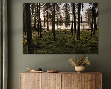 Sunlight floods the forest by the lake with huts, peaceful natural idyll by Martin Köbsch