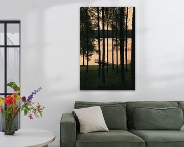 Sunlight floods the forest by the lake with huts, peaceful natural idyll by Martin Köbsch
