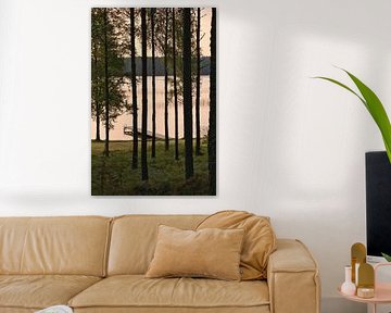 Zonlicht overspoelt het bos bij het meer met hutten, vredige natuurlijke idylle