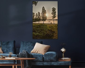Zonlicht overspoelt het bos bij het meer met hutten, vredige natuurlijke idylle