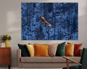 Golden eagle