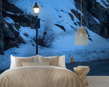 Fuchs und Laternenpfahl