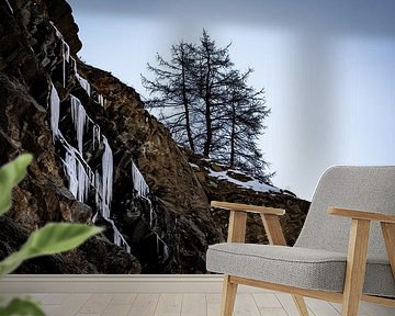 Steinbock und gefrorener Wasserfall