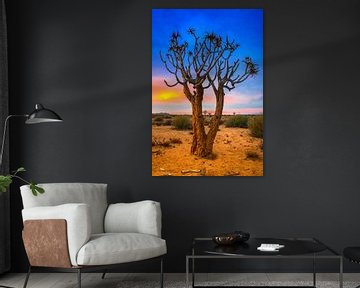 Quiver Tree au lever du soleil dans le désert du Kalahari, en Namibie