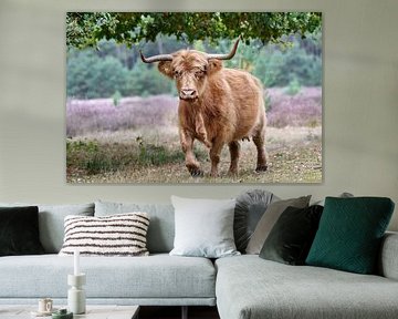 Lopende Schotse Hooglander die op je af komt van Ellen Duvekot