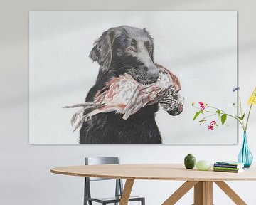 Pencil drawing of Flatcoated Retreiver with pheasant in mouth by Tamara Noordermeer
