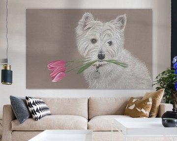 West Highland White Terrier with tulips in his mouth by Tamara Noordermeer