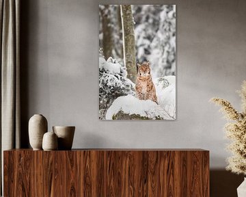 Lynx in de sneeuw van Daniela Beyer