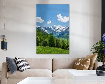 Les Alpes autrichiennes au printemps sur Sjoerd van der Wal Photographie