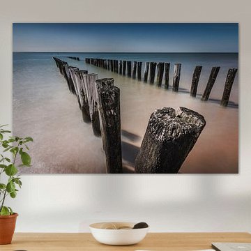 Têtes de pile à Zoutelanden.