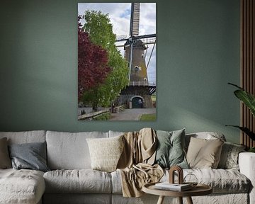 Holländische Mühle von Bert Verweij
