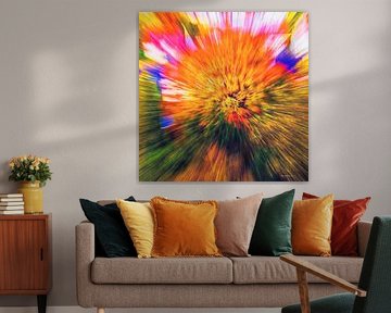 Explosion of colours by Henry Foto