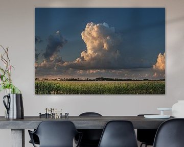Riesige Wolke über einem Maisfeld im Abendlicht in Südwestfriesland von Harrie Muis