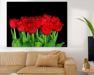 Red Tulips by Henry Foto