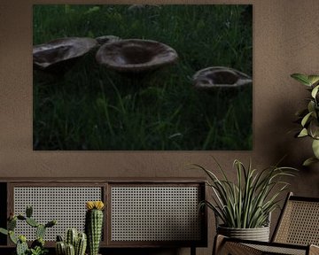 Die UFOs sind gelandet