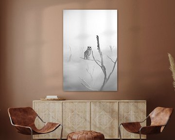 Weiße Schleiereule sitzt auf einem Ast eines toten Baumes in einer nebligen Landschaft von Besa Art