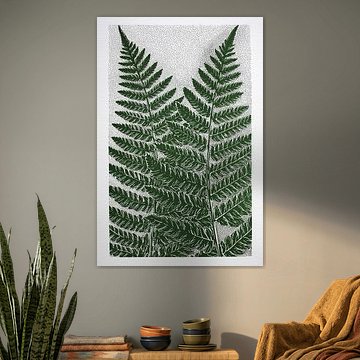 Farne in Salbei Grün