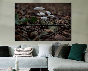 Glaswaren der Natur von Kees Goethart