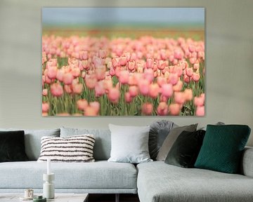 Champ de tulipes roses sur Marjan Schmit Visser