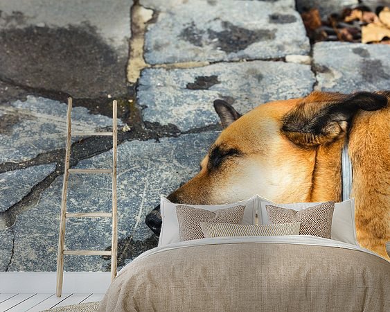 Voorbeeld van het werk in een kamer