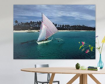 Zeilen in het paradijs