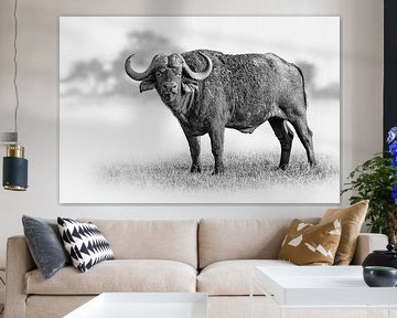 Majestic African buffalo in black and white by Chris Stenger
