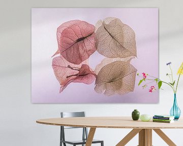 Rustgevende pastelkleuren: De dansende blaadjes van de Bougainvillea van Marjolijn van den Berg