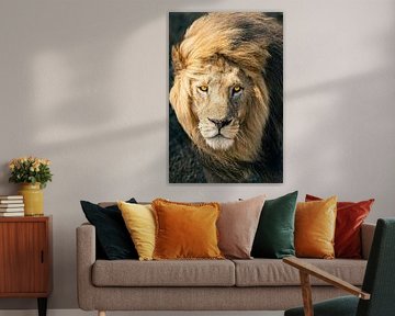 Lion de la Serengeti – Roi de la Tanzanie sur RobinV