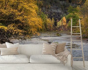 Waterfall, river in New York state, USA