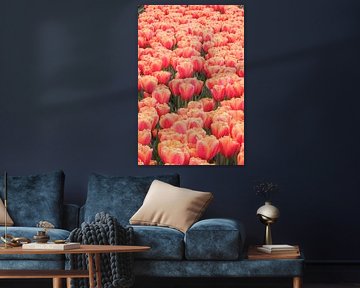 Tulips - Northeast Polder Netherlands by Marjan Schmit Visser