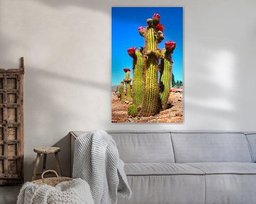 Rood bloeiende cactus in de woestijn, verticale compositie van Rietje Bulthuis