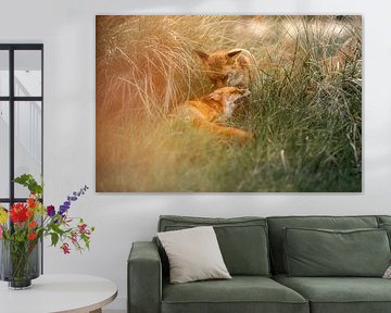 L'amour du renard sur Nicole Schmidt