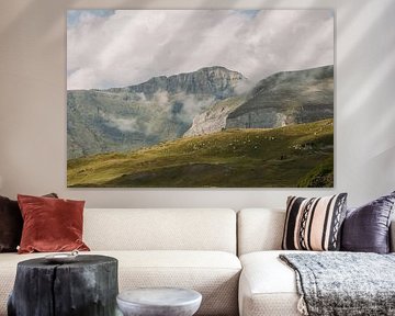 Un troupeau de moutons dans les dernières lueurs du jour dans les Pyrénées