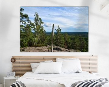 Skurugata dans le Småland, Suède. Point de vue avec vue sur les forêts en Scandinavie. sur Martin Köbsch