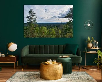 Skurugata dans le Småland, Suède. Point de vue avec vue sur les forêts en Scandinavie. sur Martin Köbsch