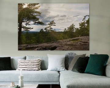Skurugata dans le Småland, Suède. Point de vue avec vue sur les forêts en Scandinavie. sur Martin Köbsch