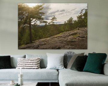 Skurugata dans le Småland, Suède. Point de vue avec vue sur les forêts en Scandinavie. sur Martin Köbsch
