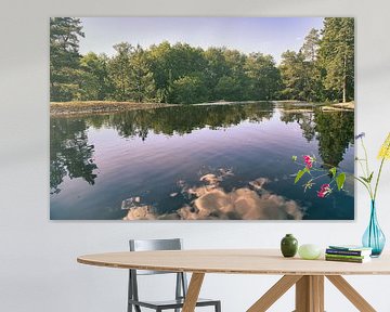Idyllic lake in Sweden, with tree and cloud reflections in a clear natural setting by Martin Köbsch