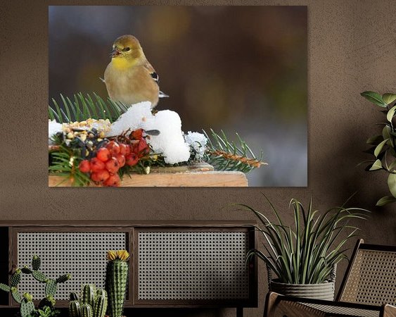 Aperçu de la chambre