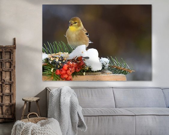 Aperçu de la chambre