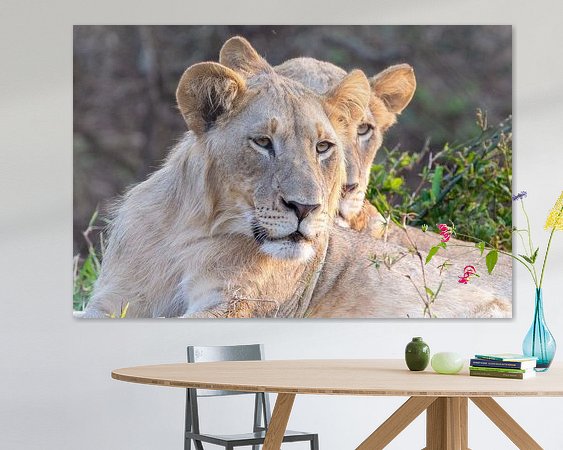 Aperçu de la chambre