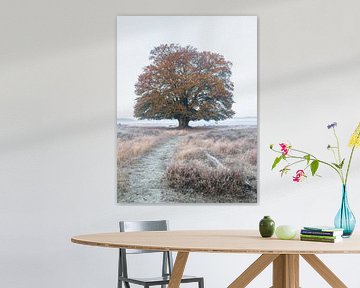 Lonely autumn scene on Planken Wambuis by Patrick van Os
