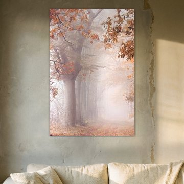 Magisch Hollands bos van Monique van Genderen (in2pictures.nl fotografie)