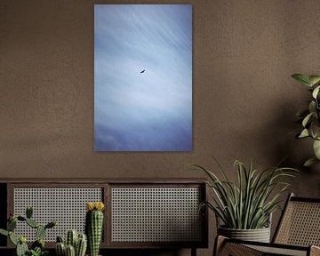 The Eagle's Sky