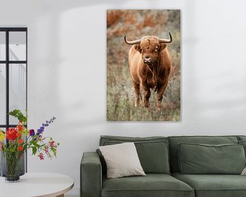 Schotse hooglander stier omhult in de herfstkleuren van Design Wall Arts